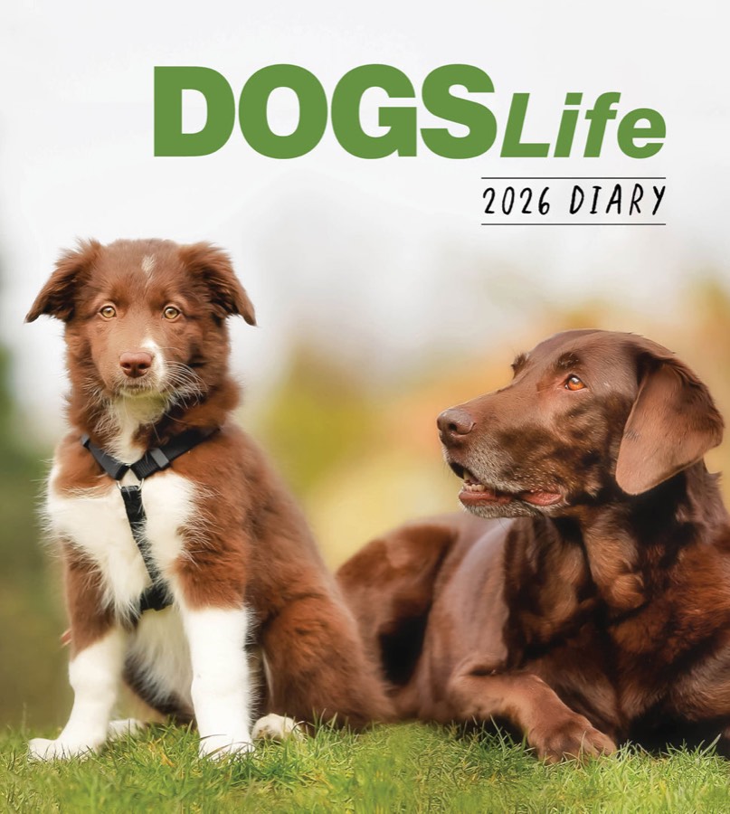 Paper Pocket Dogs Life 2026 Diary