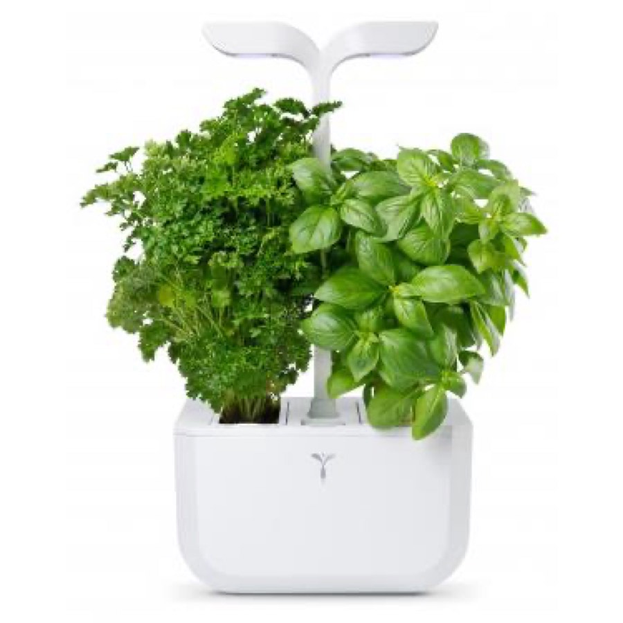 V Ritable Exky Indoor Garden Classic
